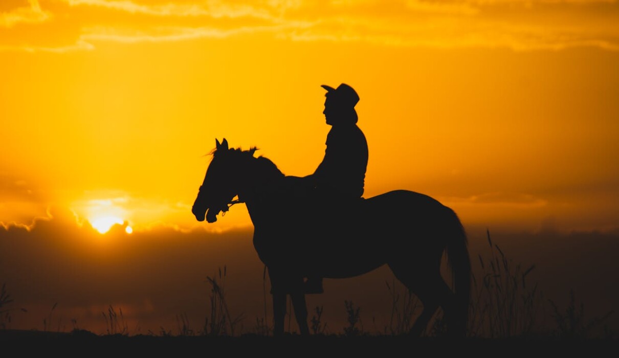 კარგი თუ ცუდი? ვინ იცის?