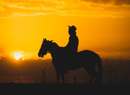 კარგი თუ ცუდი? ვინ იცის?