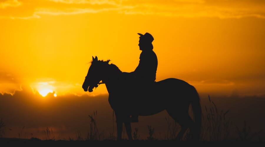 კარგი თუ ცუდი? ვინ იცის?