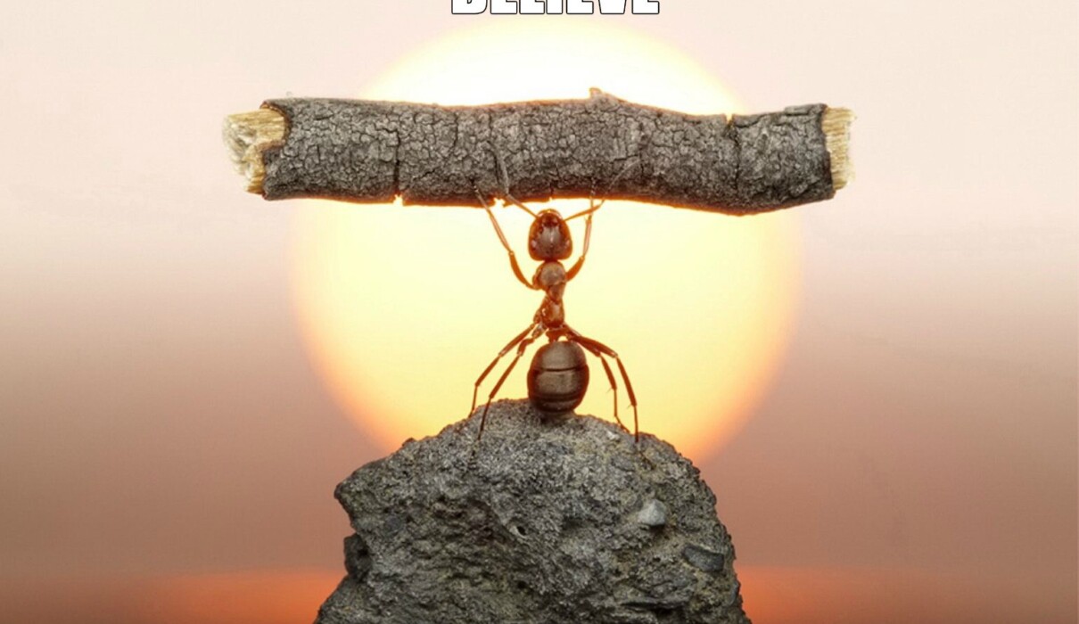 სამოტივაციო ვიდეო