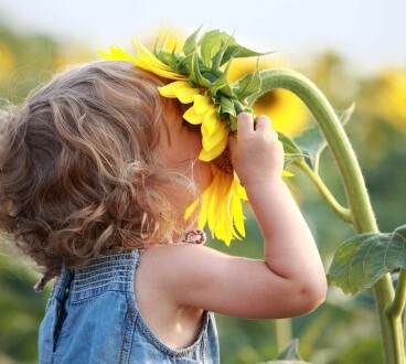 ბედნიერება