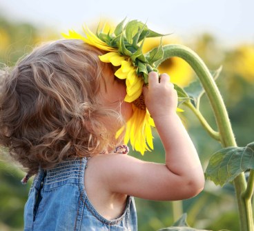 ბედნიერება