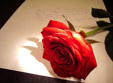 უკანასკნელი წერილი