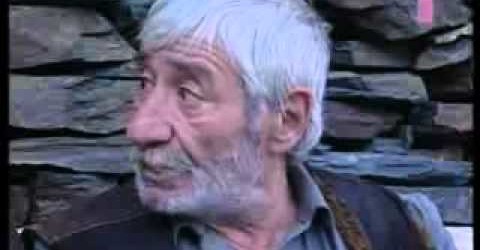 სიყვარულის ცეცხლი