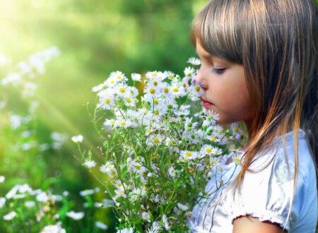 გვირილები