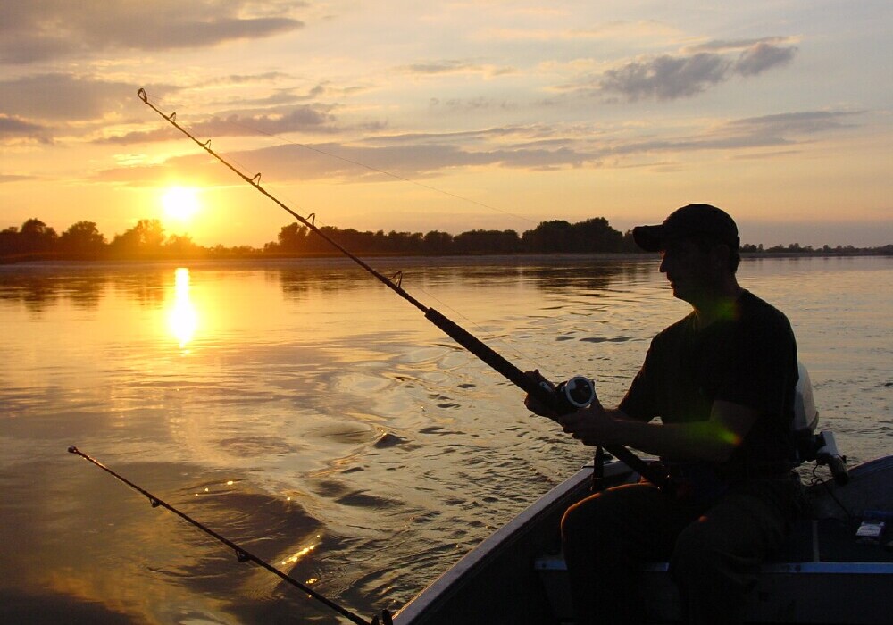 თევზაობა