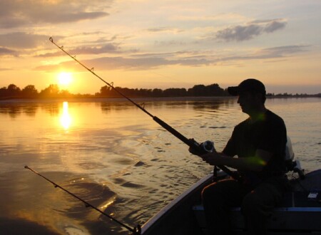 თევზაობა