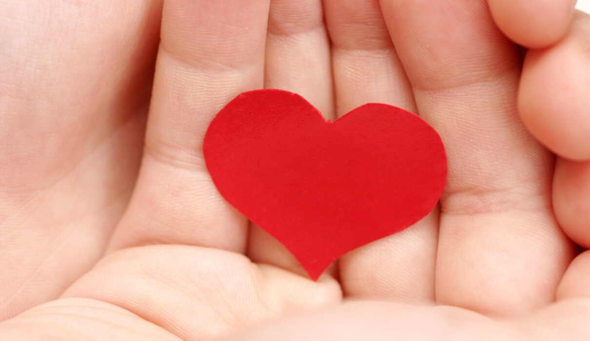 გულიდან ამოძახილი