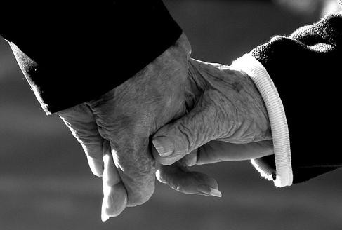 დაკარგული სიყვარული