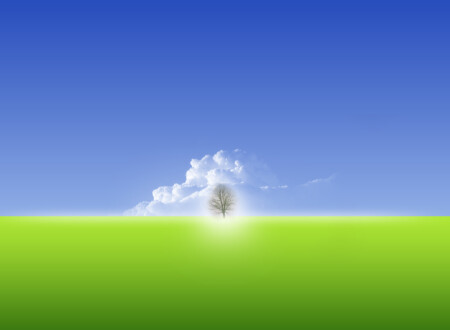 ოცნებები