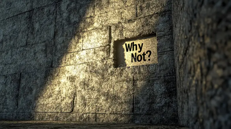 რატომაც არა