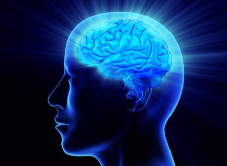 ინტელექტი