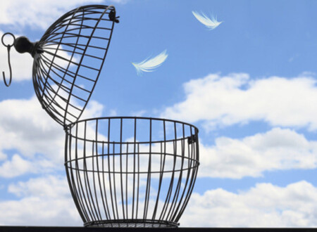 თავისუფლება