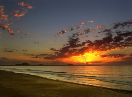 სისულელე და ყოვლისშემძლეობა