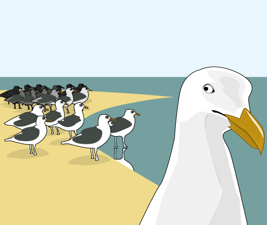 თოლია ჯონათან ლივინგსტონი