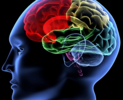 ტვინი სარკეში