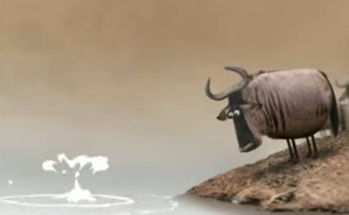 ნუ ედავებით იდიოტებს