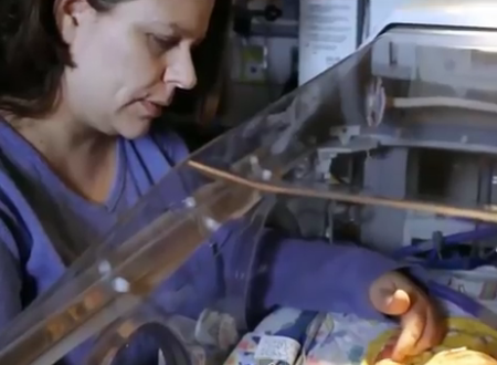 სხვის გულში ჩახედვა