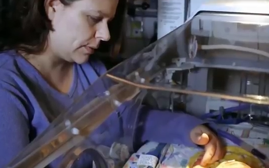 სხვის გულში ჩახედვა