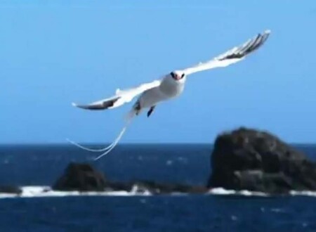 სამყარო მშვენიერია
