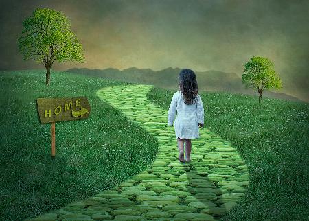 გზა სახლისკენ