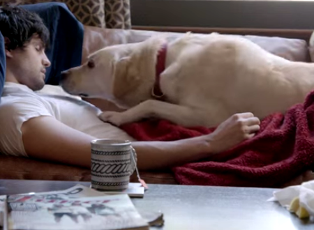 მეგობრები გელიან