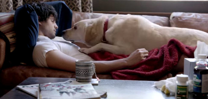 მეგობრები გელიან