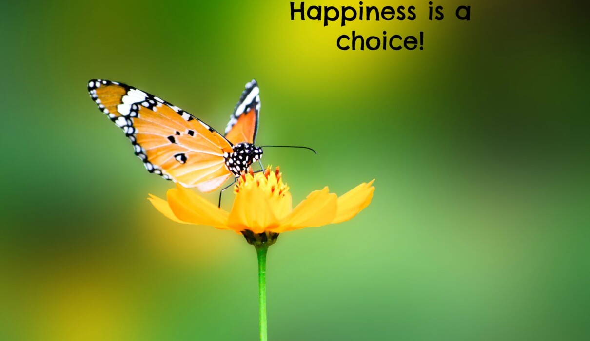 ბედნიერება არჩევანია