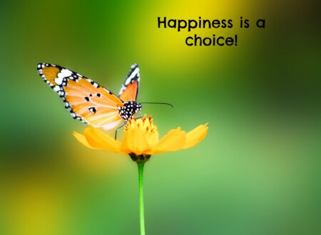 ბედნიერება არჩევანია