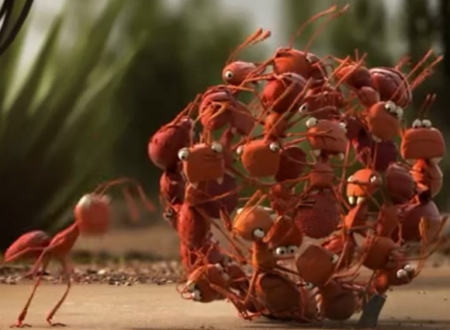 ძალა ერთობაშია