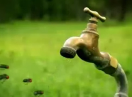 კარგი განათლება