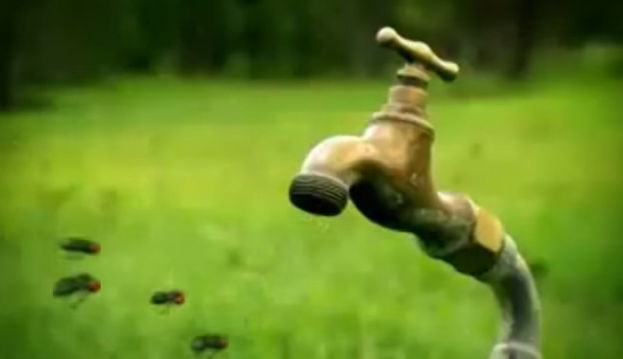 კარგი განათლება