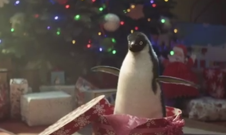 საახალწლო რეკლამა