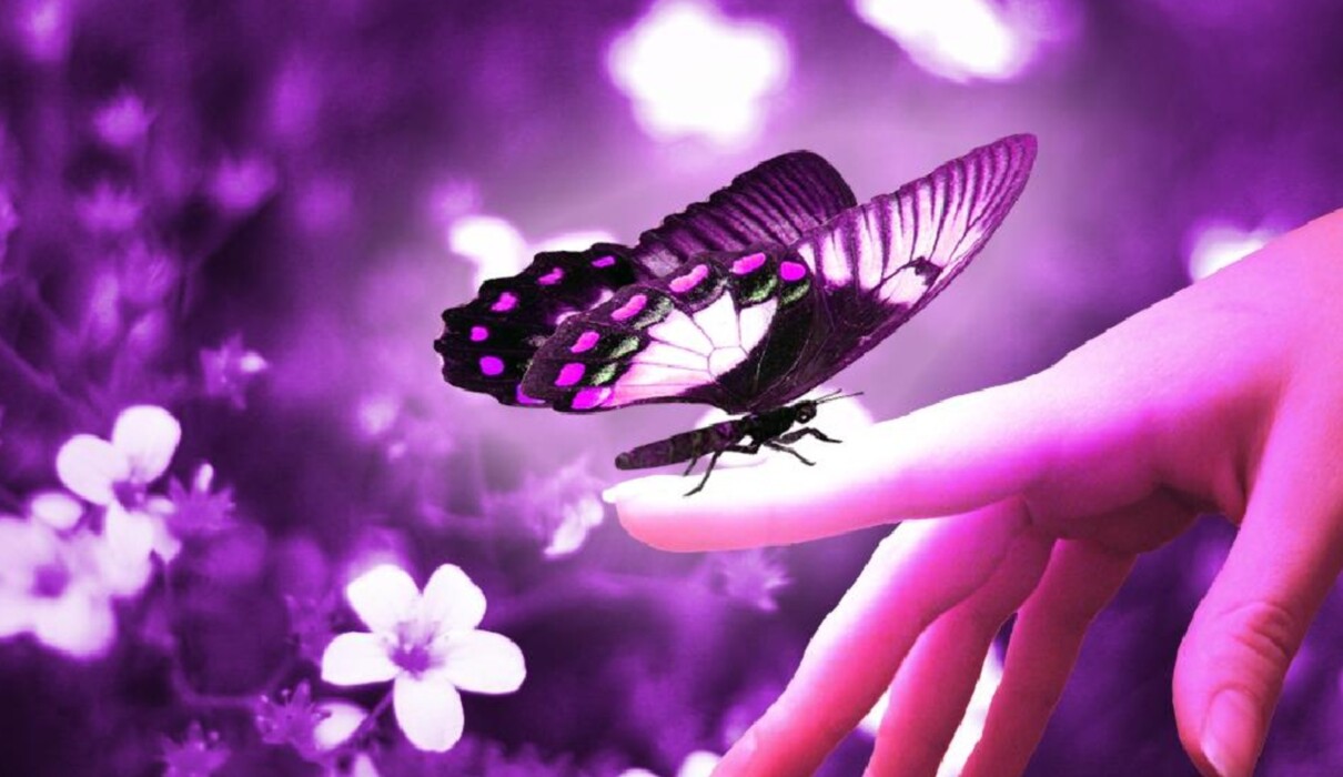 სიცოცხლის არსი