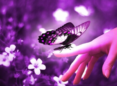 სიცოცხლის არსი