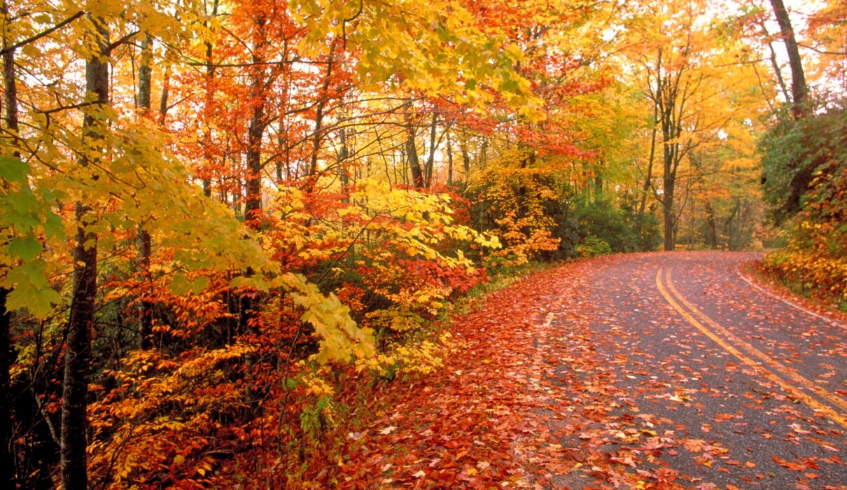 შემოდგომა