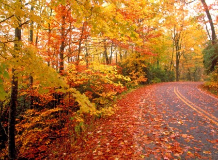 შემოდგომა