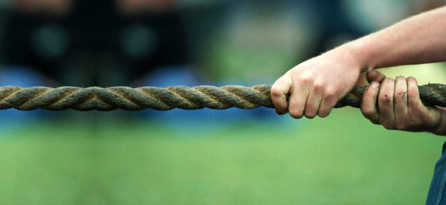 რინგელმანის ეფექტი