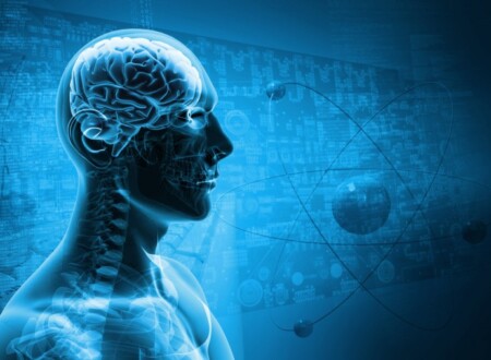 ინტელექტი