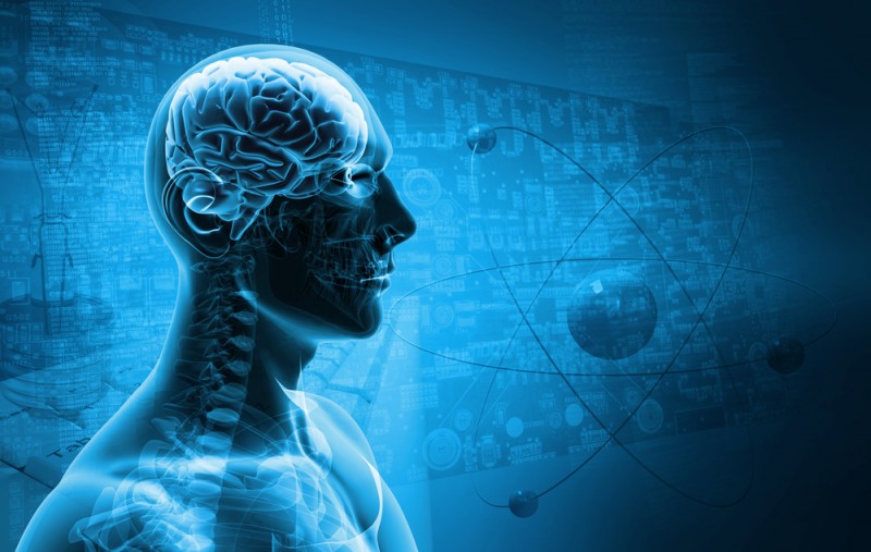 ინტელექტი