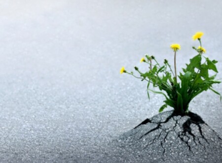 პრობლემის დაძლევა