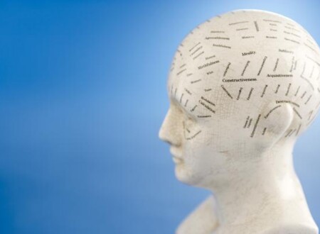 ადამიანის ტვინი