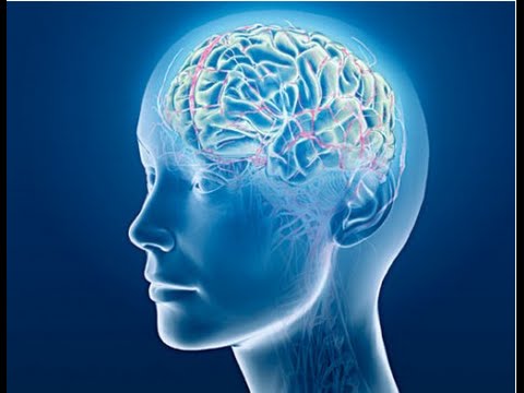 ადამიანის გონება