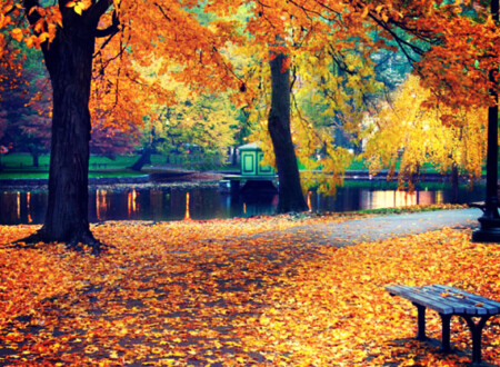 შემოდგომა