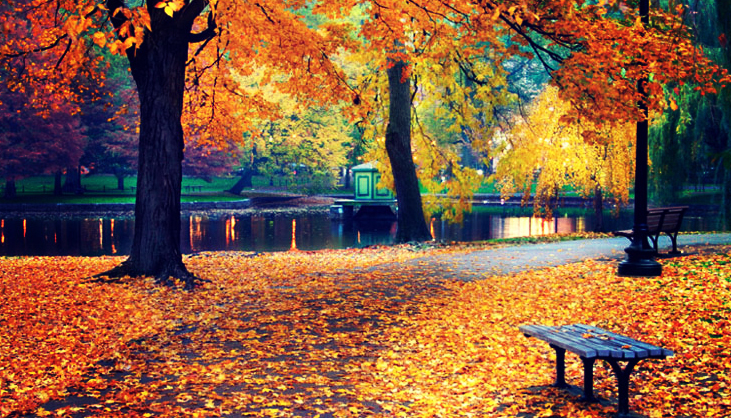 შემოდგომა