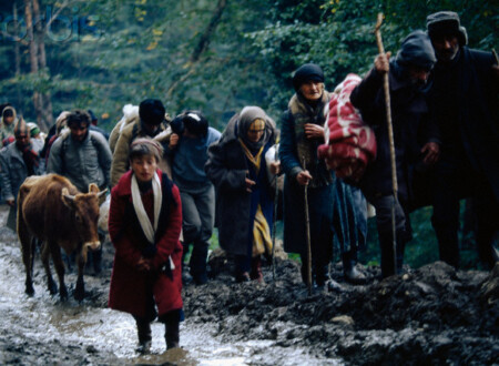 დევნილები