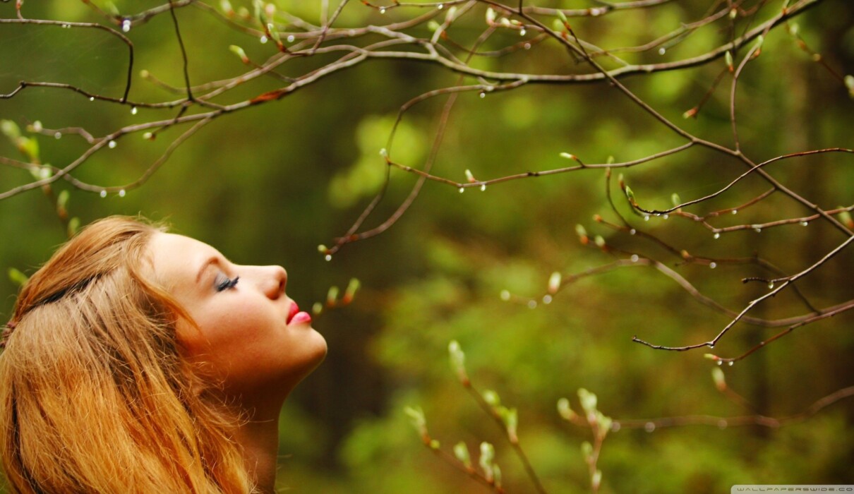 დახუჭული თვალები