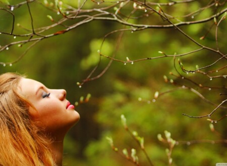 დახუჭული თვალები