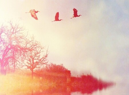 ლიდერობა