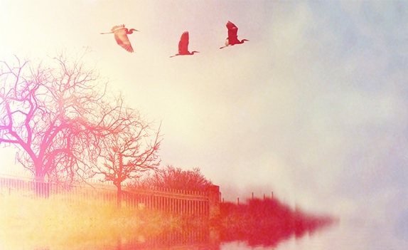 ლიდერობა